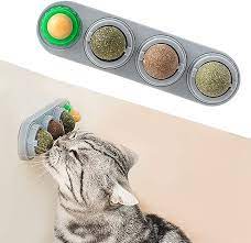 How to choose pet toys?