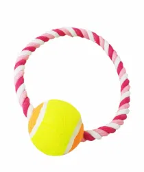 Key considerations for dog tug toys