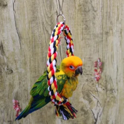 Top 5 Types of Bird Toys Every Bird Owner Should Know About
