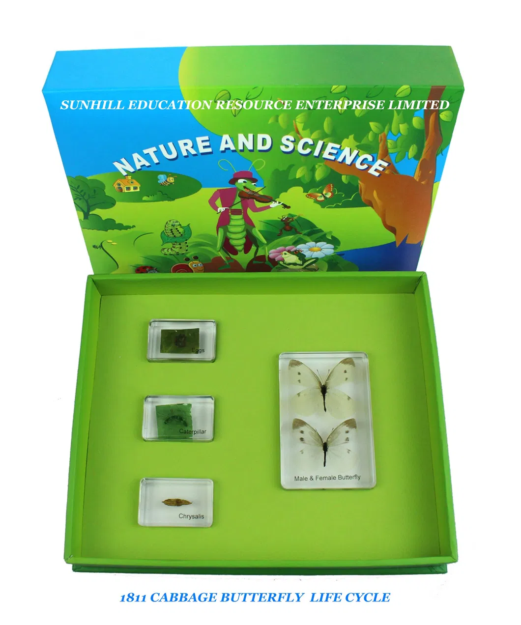 Children Toy, Nursery School Educationa Science Learning Toy, Kids Classroom Educationteaching Specimen for Kindergarten and Preschool