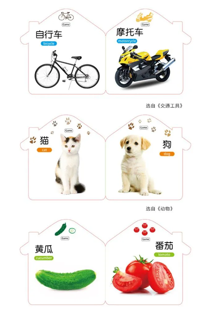 Custom House Shape Cardboard Educational Flash Card English Learning Game Card Printing W
