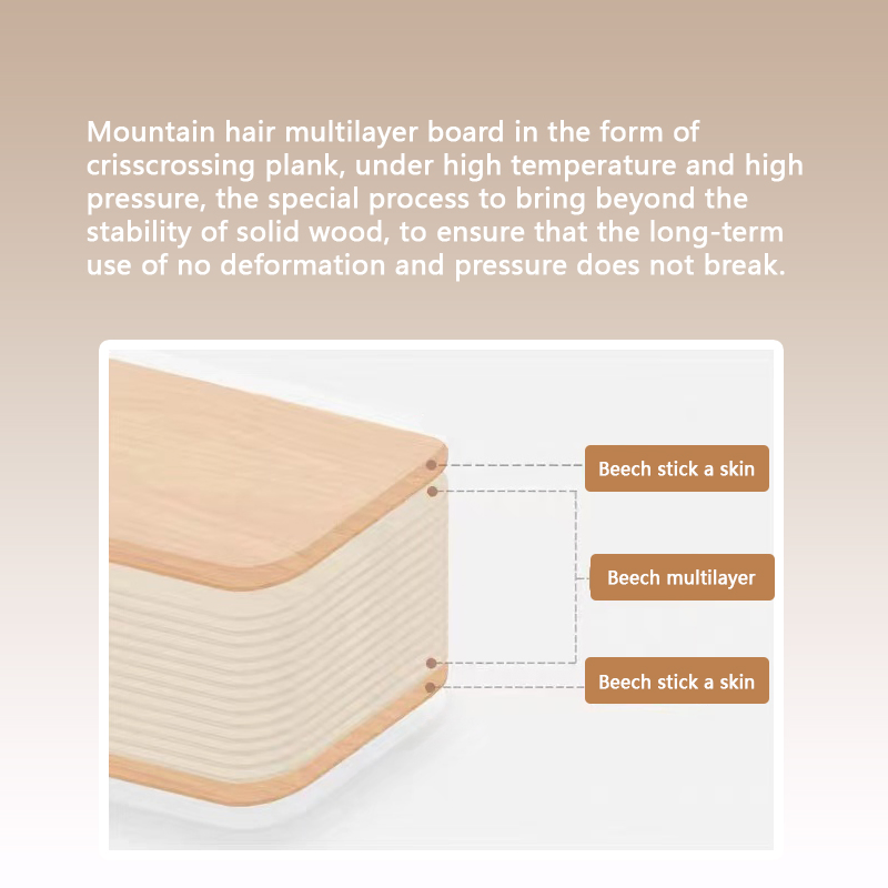 Factory Wholesale High Quality Birch Wood Kids Science Educational Toy Wooden Balance Board