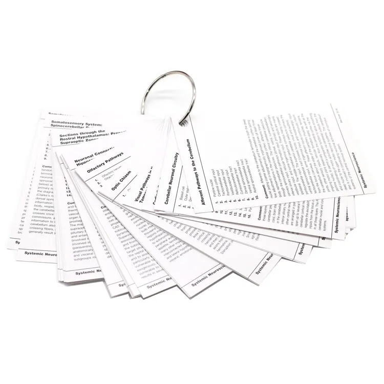 Wholesale Waterproof Plastic Early Educational Flash Cards Custom Japanese Learning Cards From Manufacturer
