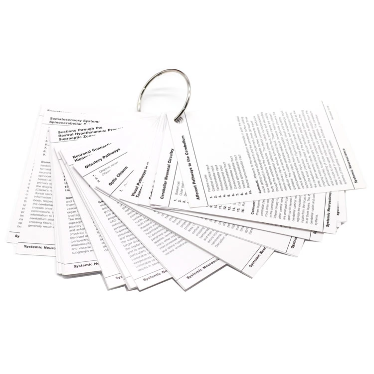 Wholesale Waterproof Plastic Early Educational Flash Cards Custom Japanese Learning Cards From Manufacturer